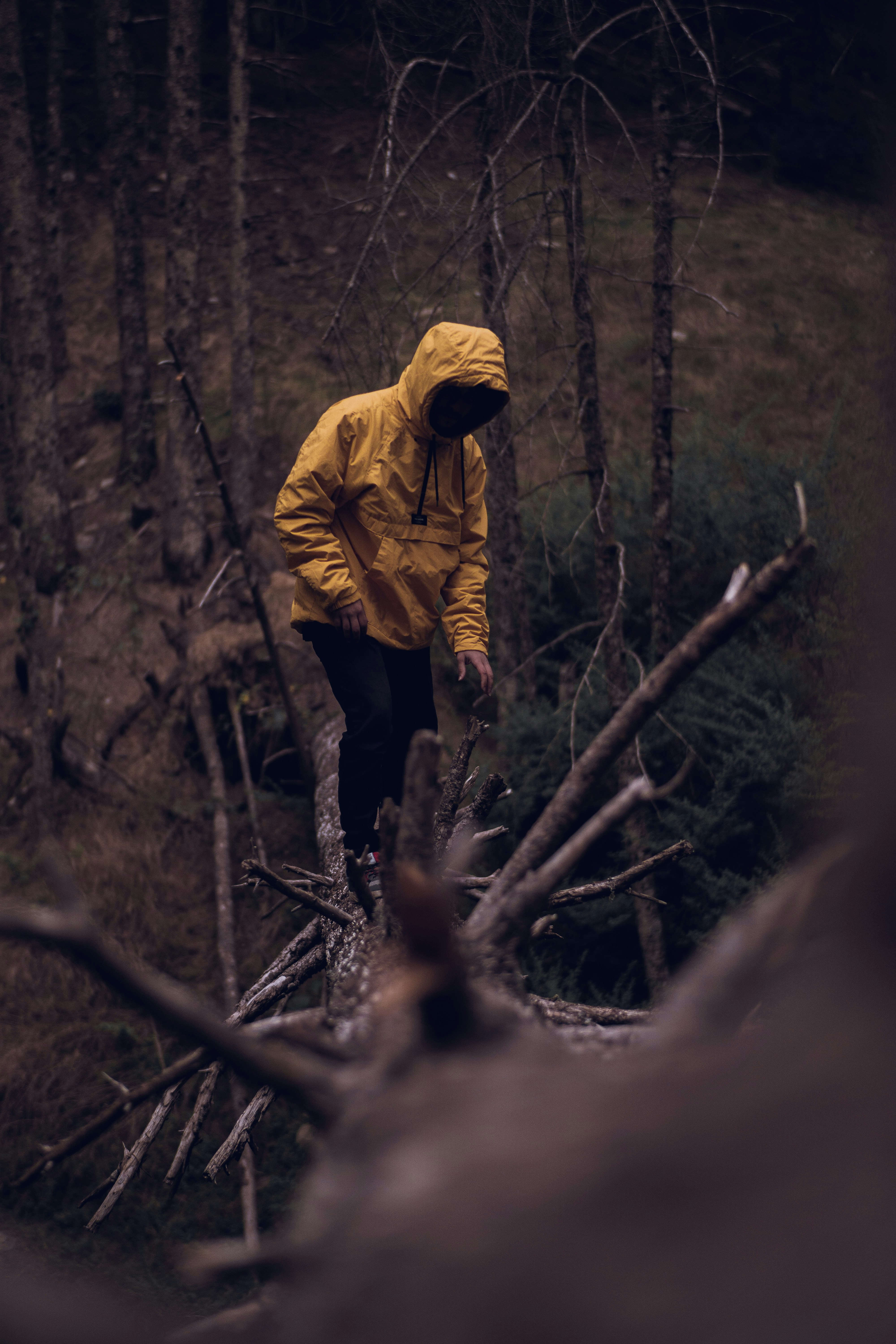 person in brown jacket and black pants standing on tree branch